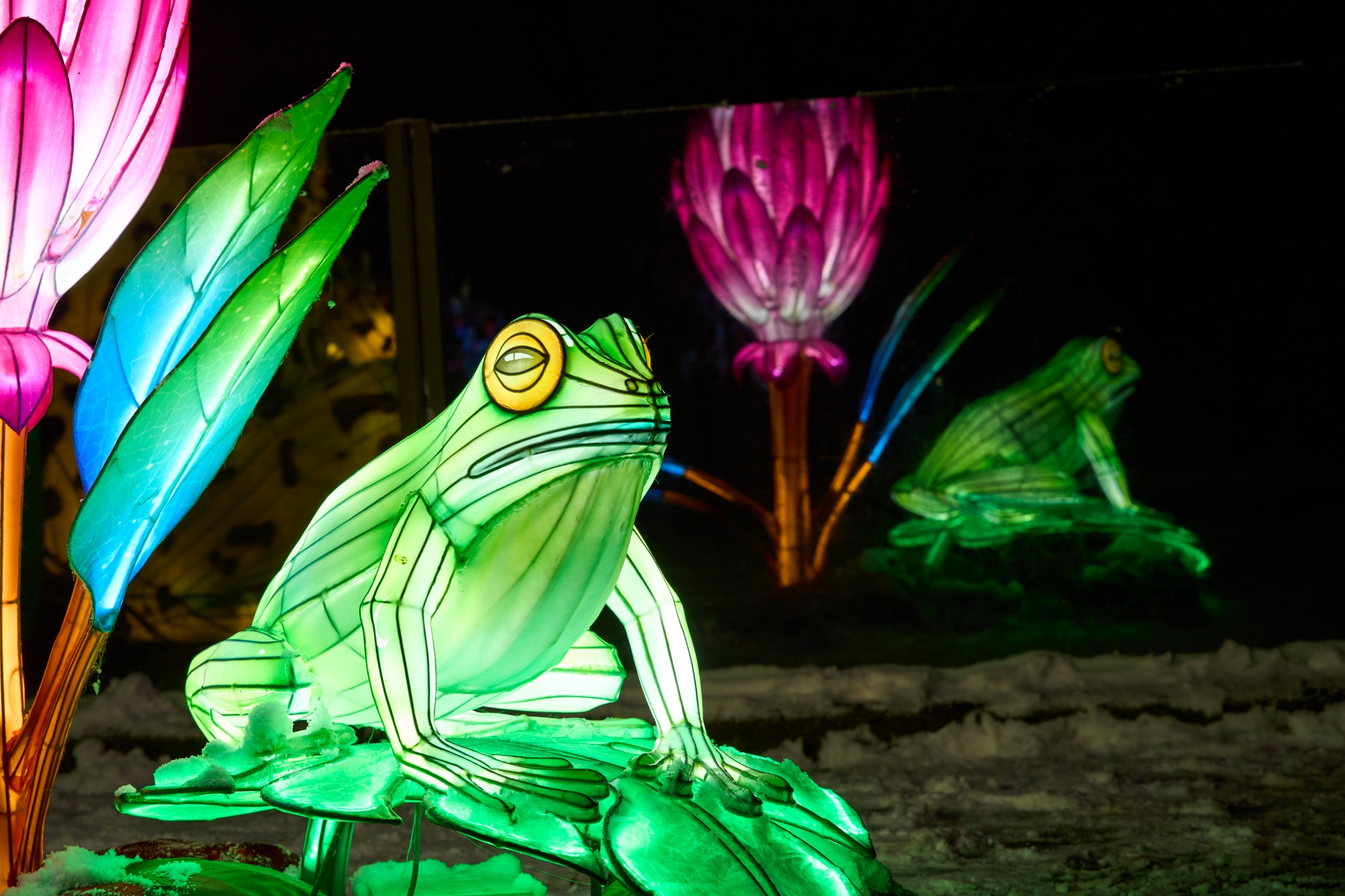 2026 01 05 China Lights 0094